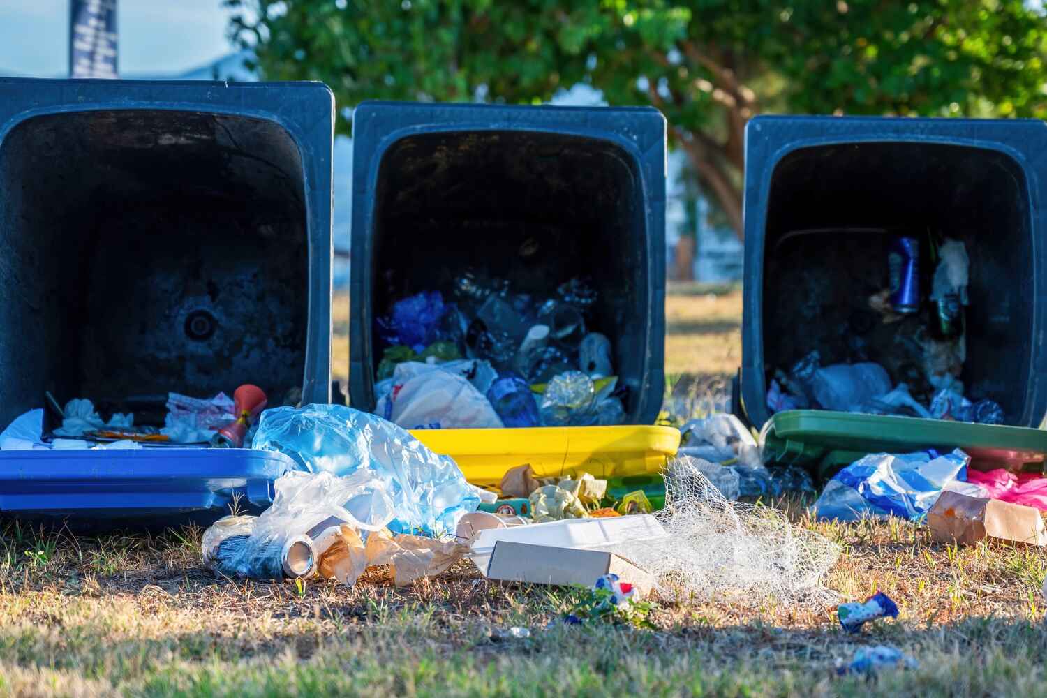 Best Junk Removal Near Me  in Tioga Terrace, NY